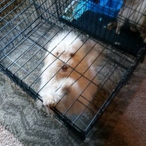 Meet your Posher, Shanena